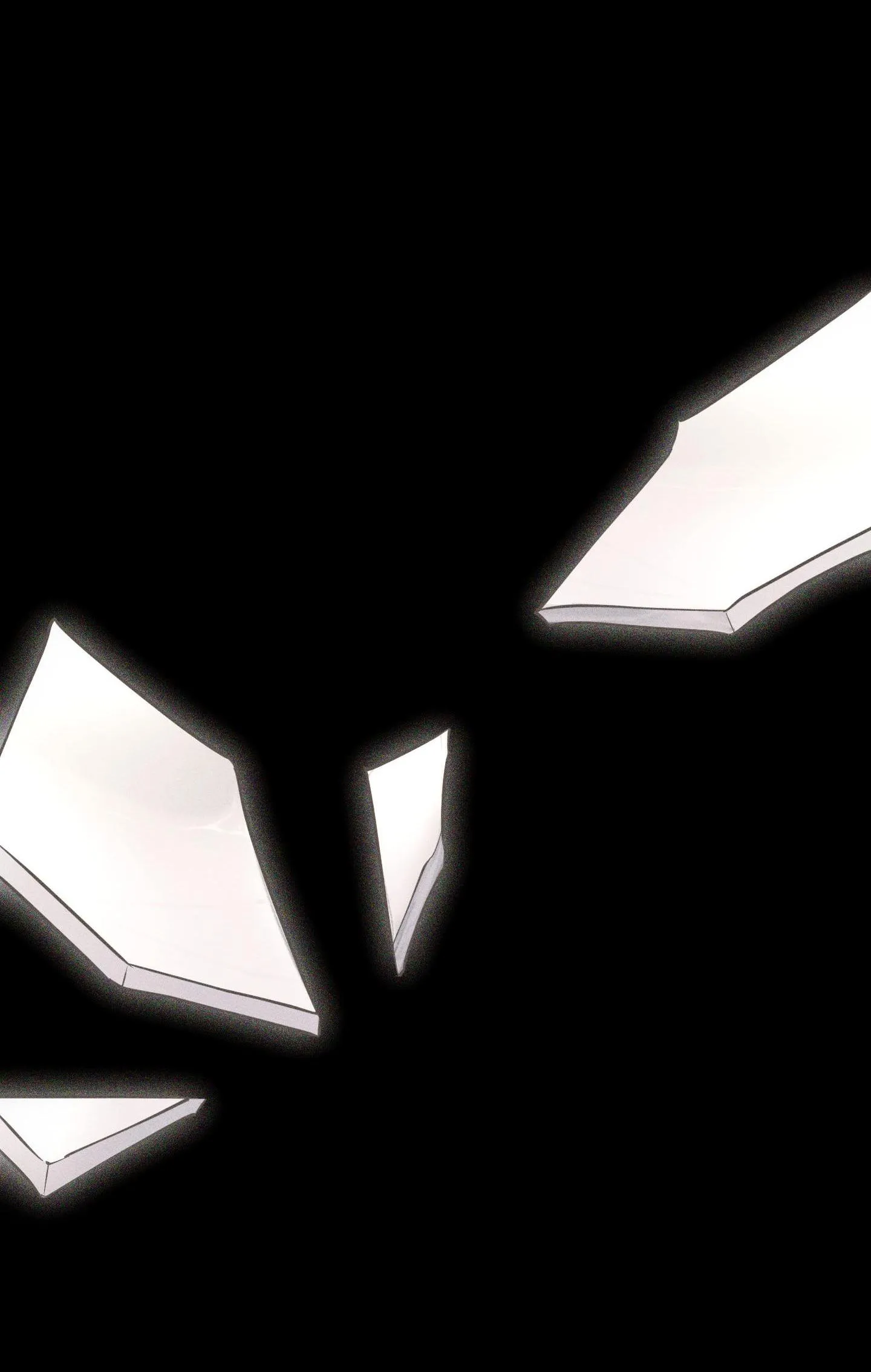 HÌNH THÁI TÌNH TAN Chapter 41 Trang 61