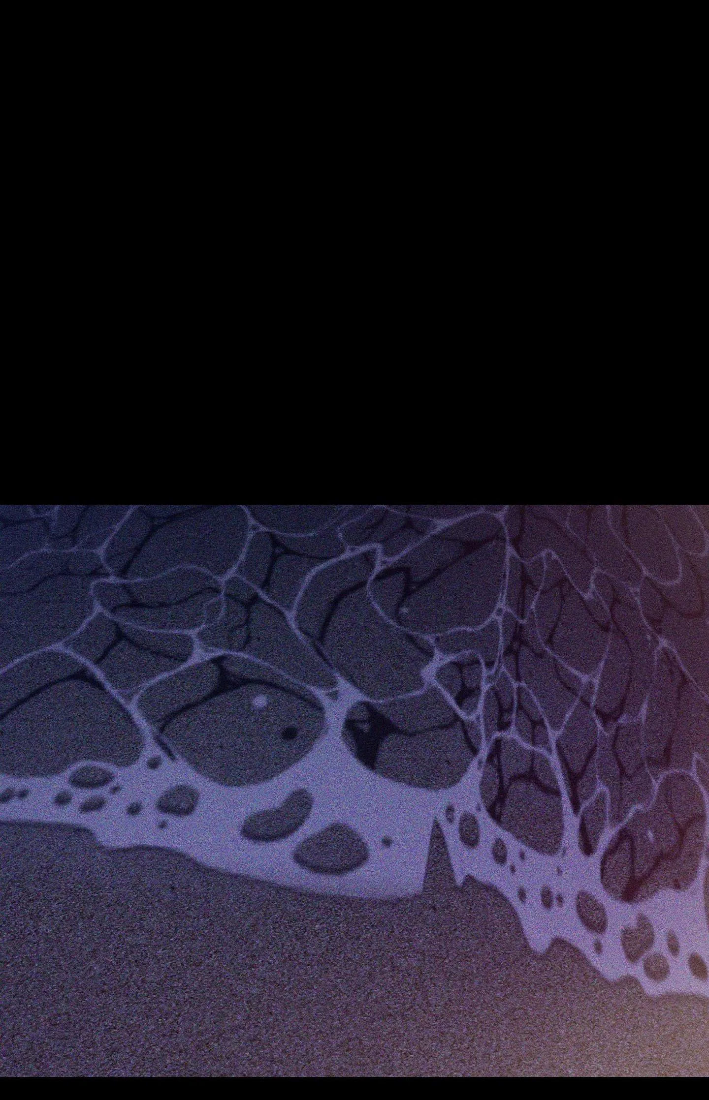 HÌNH THÁI TÌNH TAN Chapter 42 Trang 63