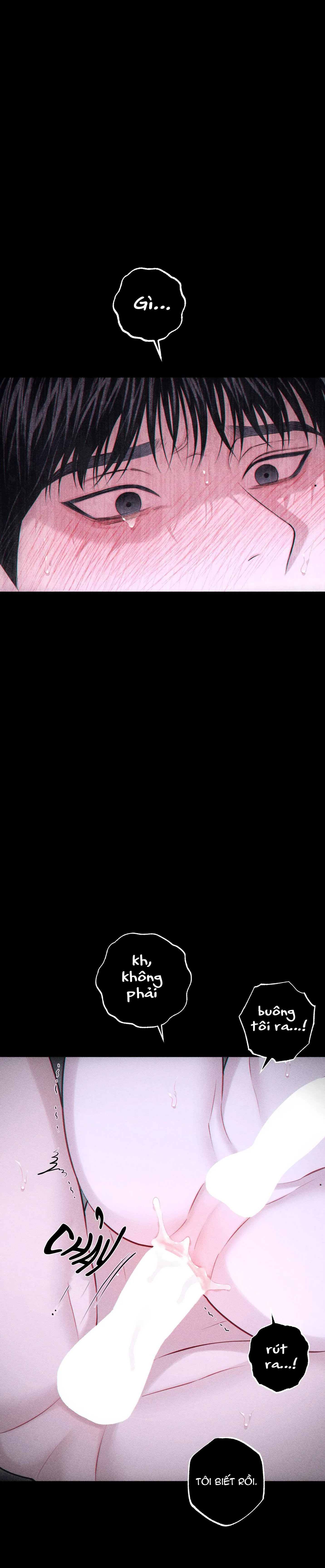 HÌNH THÁI TÌNH TAN Chapter 43 Trang 8