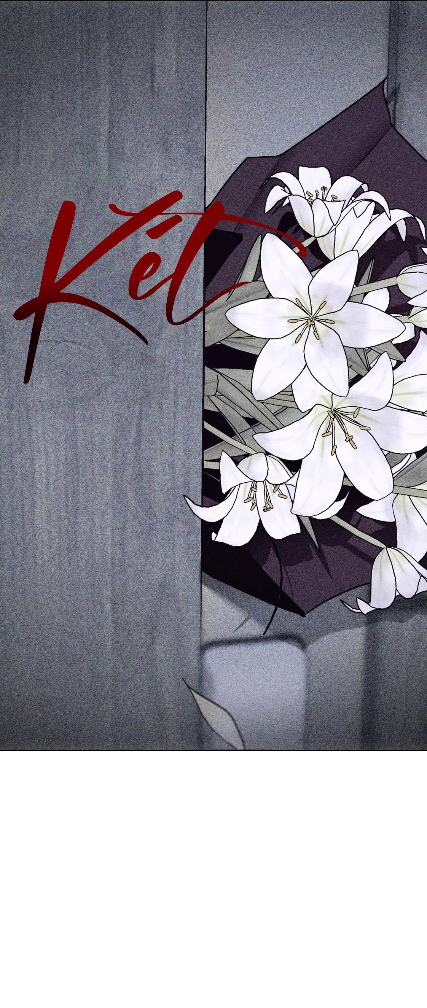 HÌNH THÁI TÌNH TAN Chapter 49 Trang 16