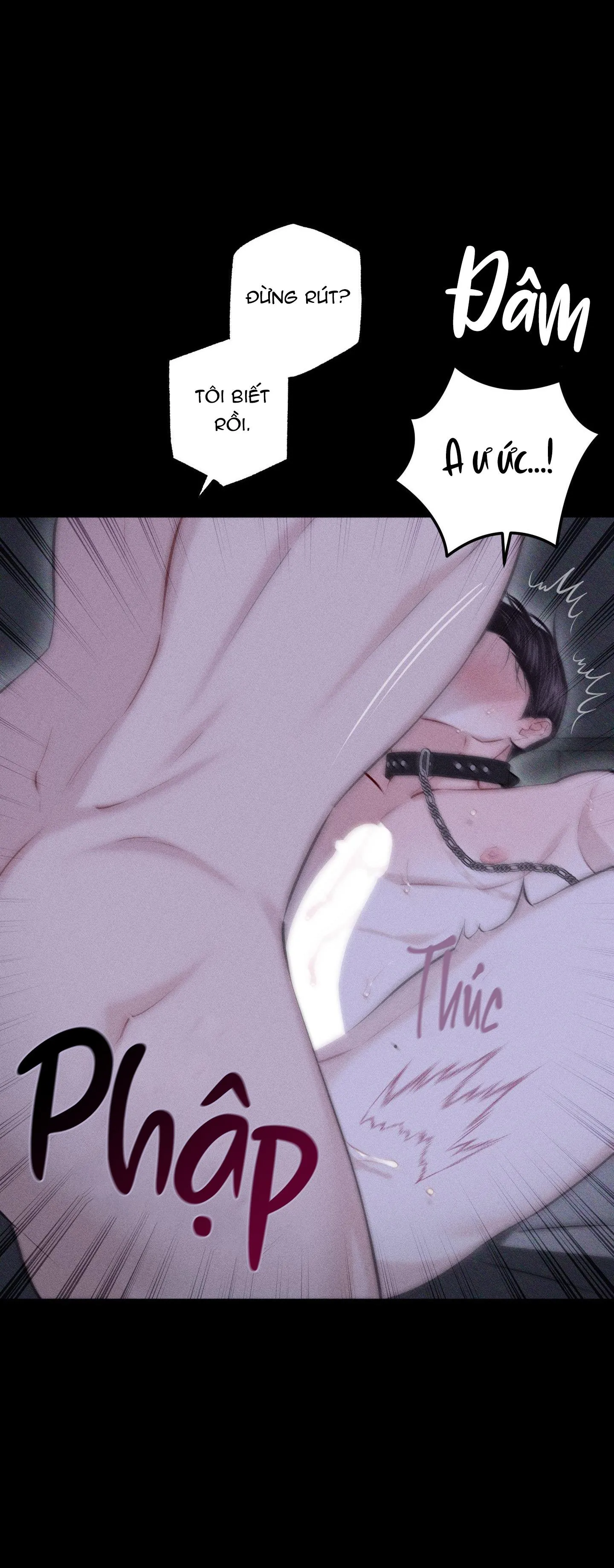 HÌNH THÁI TÌNH TAN Chapter 54 Trang 6