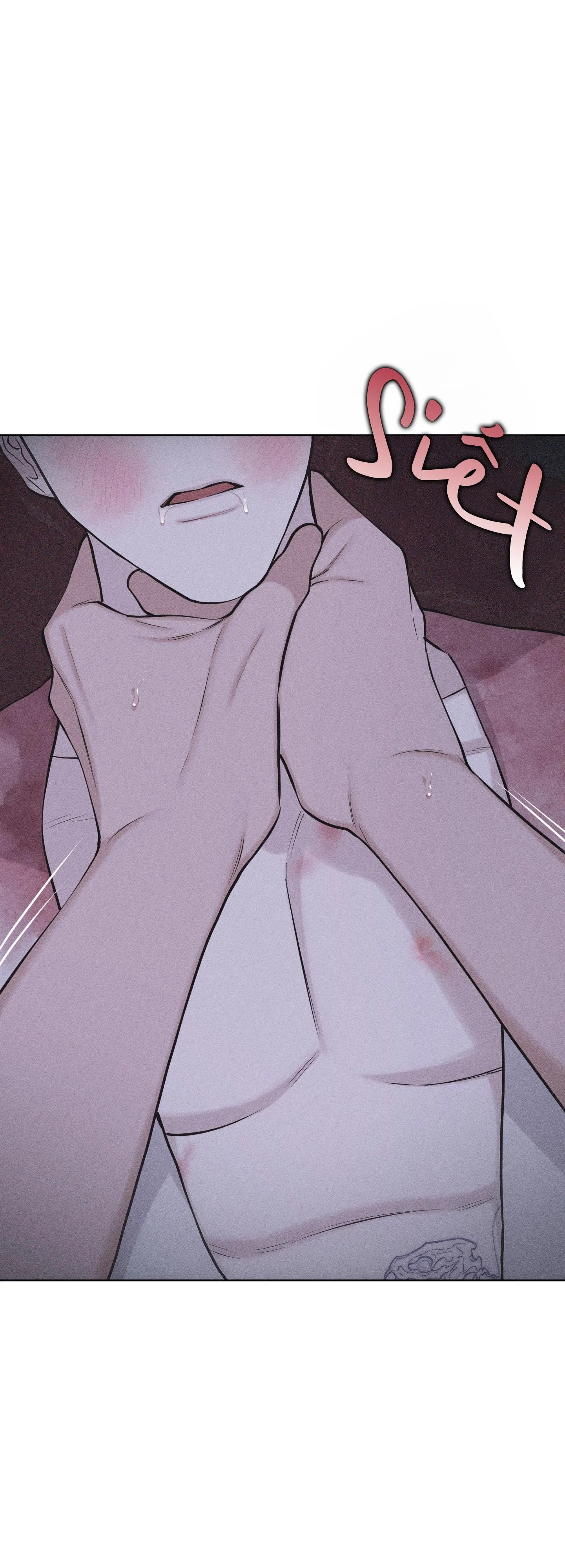 HÌNH THÁI TÌNH TAN Chapter 65 Trang 53