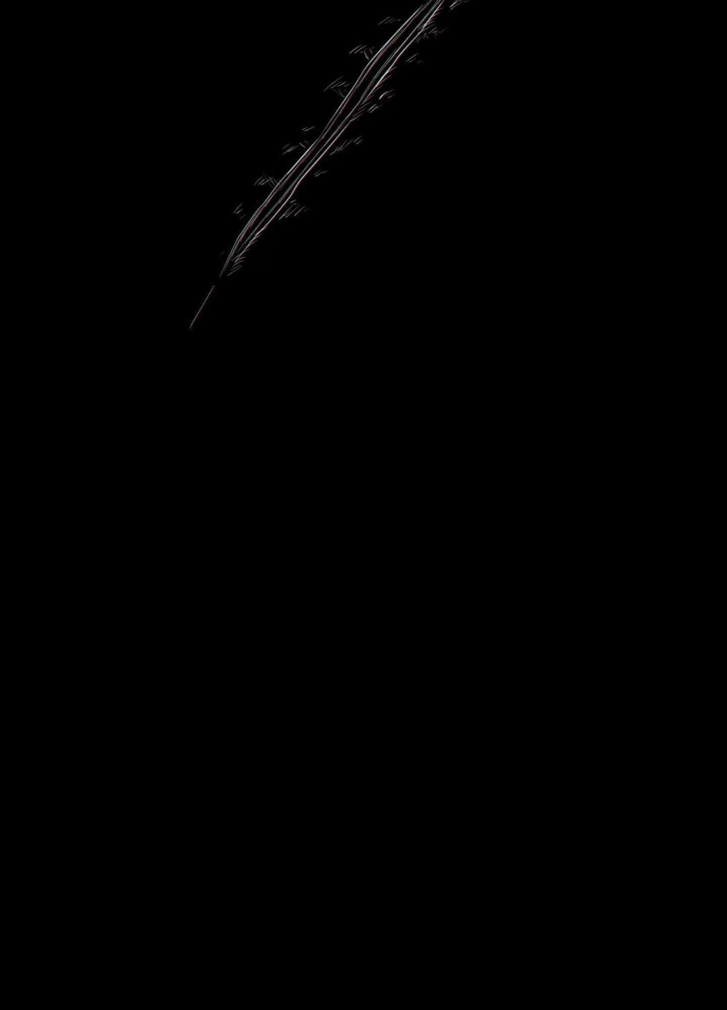 HÌNH THÁI TÌNH TAN Chapter 67 Trang 62