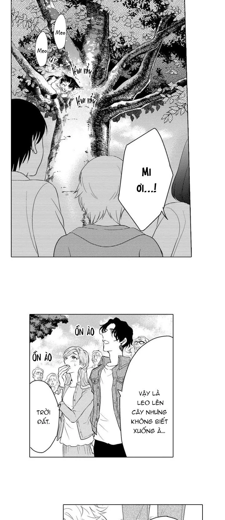 Hiyoko-chan to Harinezumi-kun Chapter 2 Trang 3