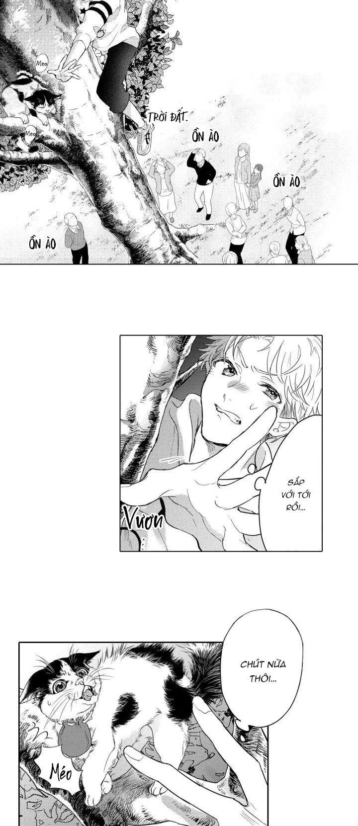 Hiyoko-chan to Harinezumi-kun Chapter 2 Trang 6