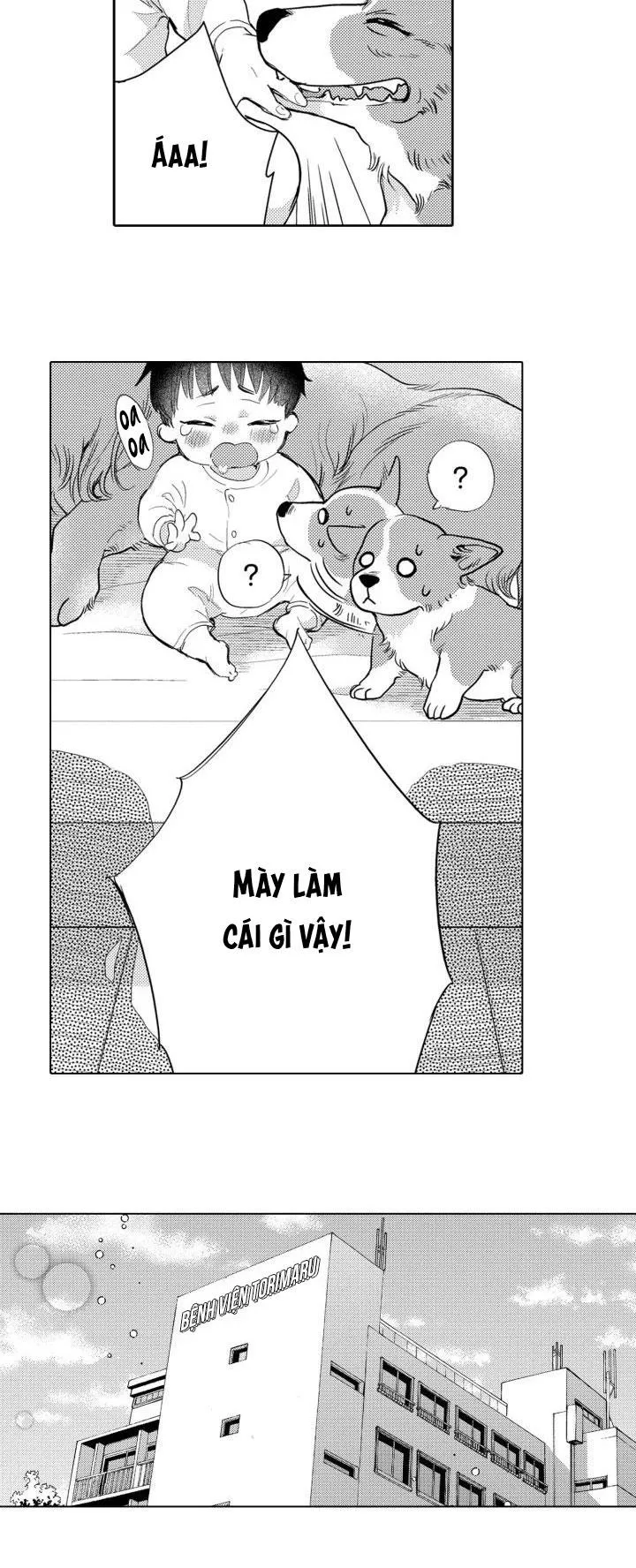 Hiyoko-chan to Harinezumi-kun Chapter 3 Trang 3