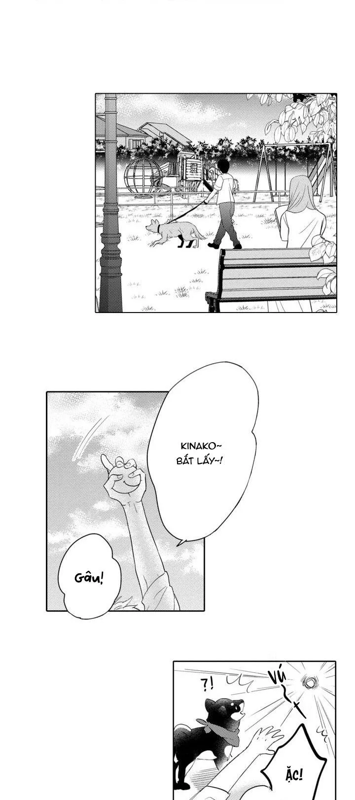 Hiyoko-chan to Harinezumi-kun Chapter 3 Trang 14