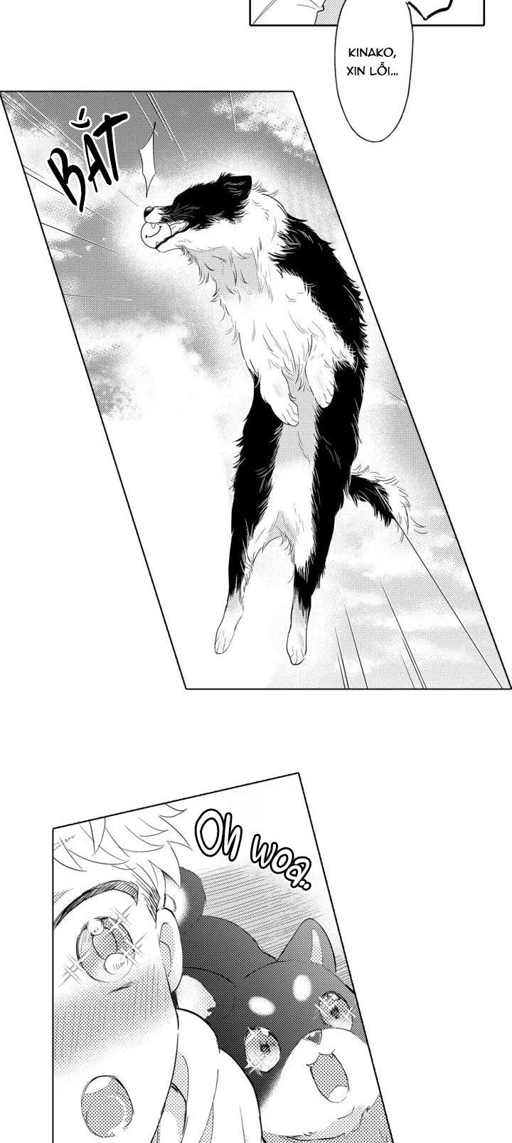 Hiyoko-chan to Harinezumi-kun Chapter 3 Trang 15