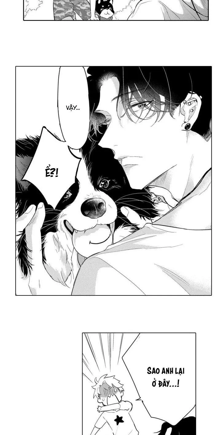 Hiyoko-chan to Harinezumi-kun Chapter 3 Trang 17