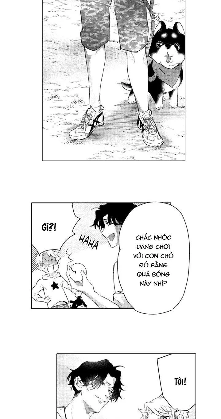 Hiyoko-chan to Harinezumi-kun Chapter 3 Trang 19