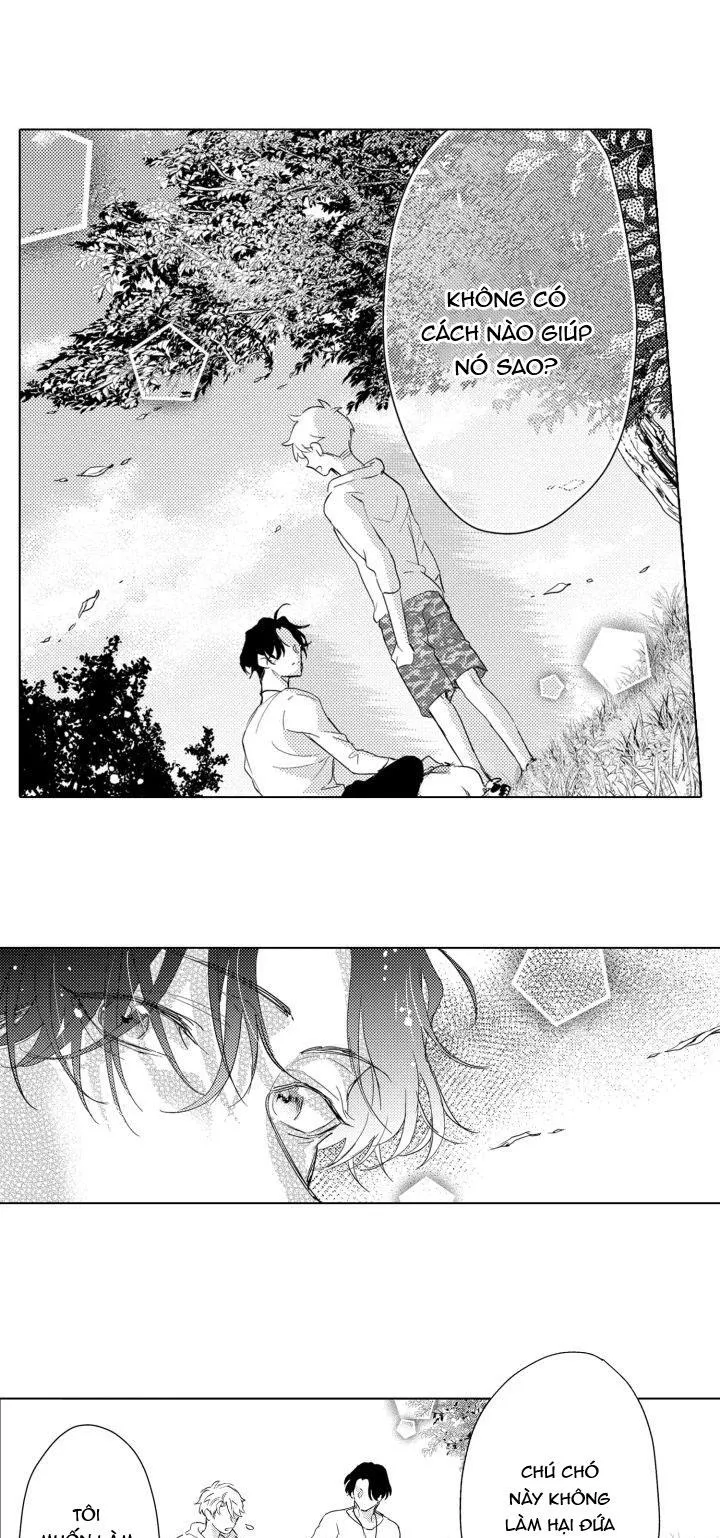 Hiyoko-chan to Harinezumi-kun Chapter 3 Trang 28