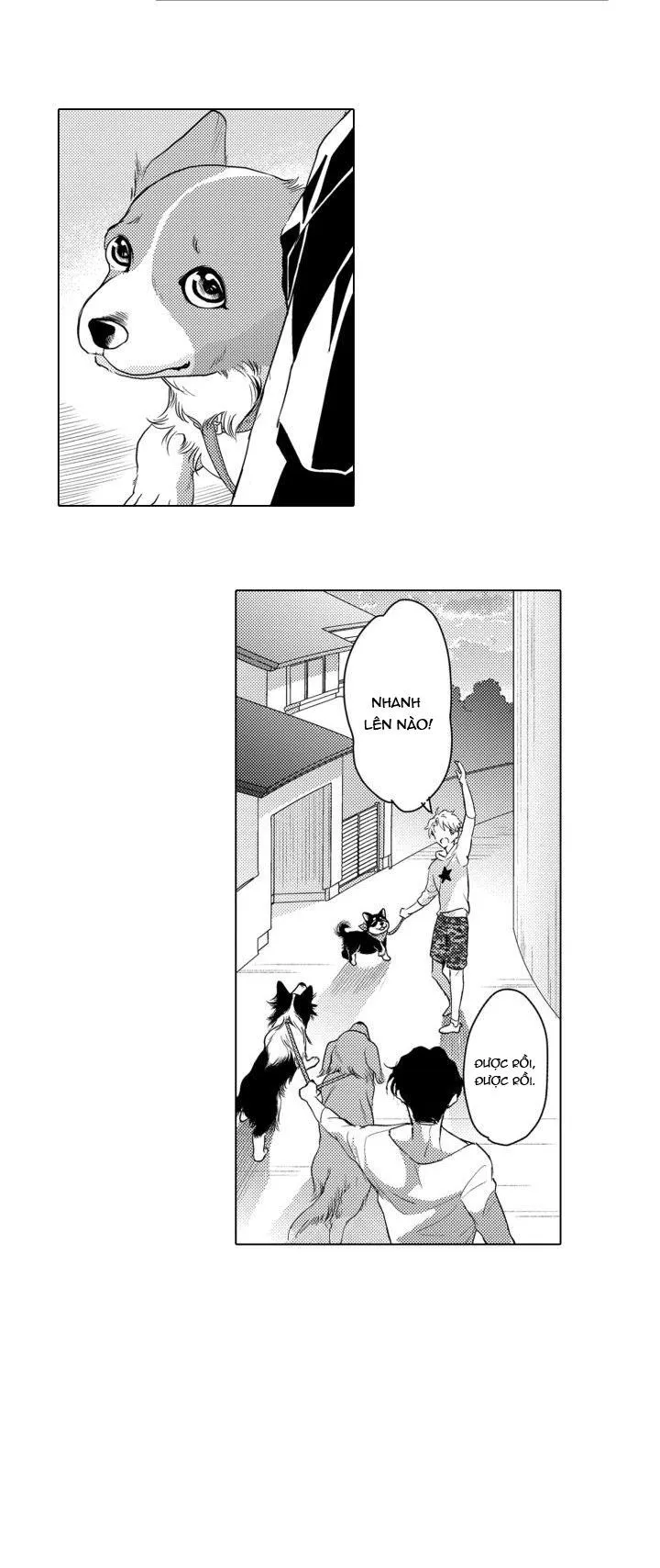 Hiyoko-chan to Harinezumi-kun Chapter 3 Trang 41