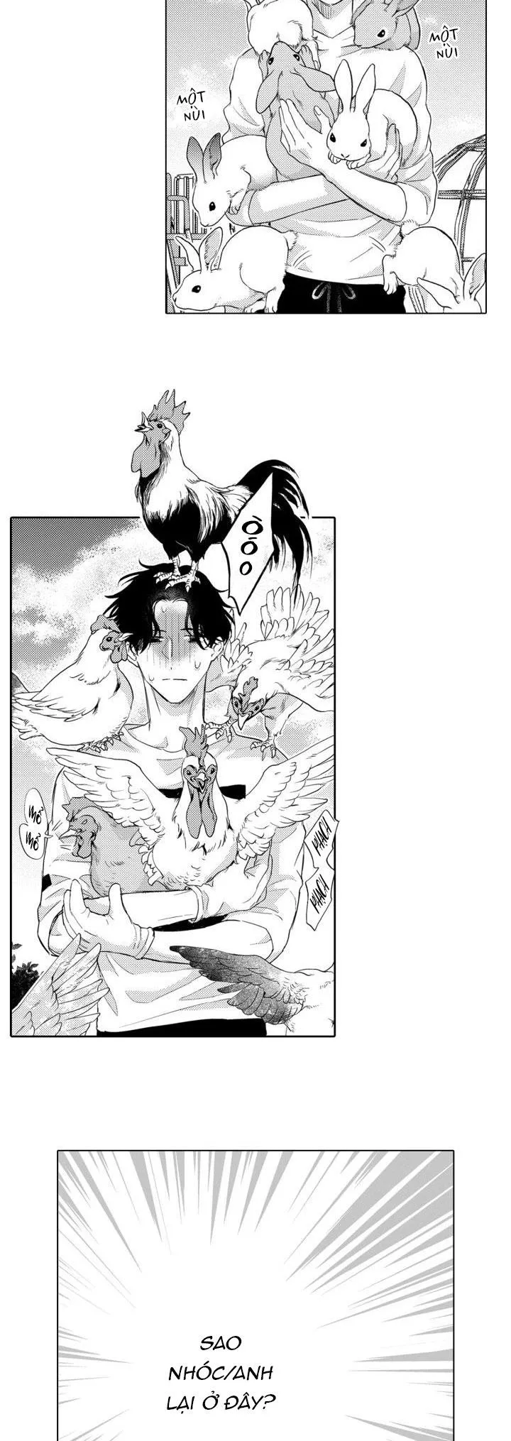 Hiyoko-chan to Harinezumi-kun Chapter 5 Trang 6