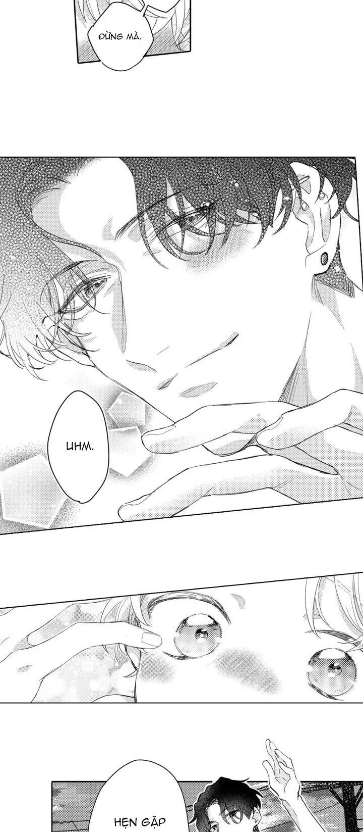 Hiyoko-chan to Harinezumi-kun Chapter 6 Trang 18