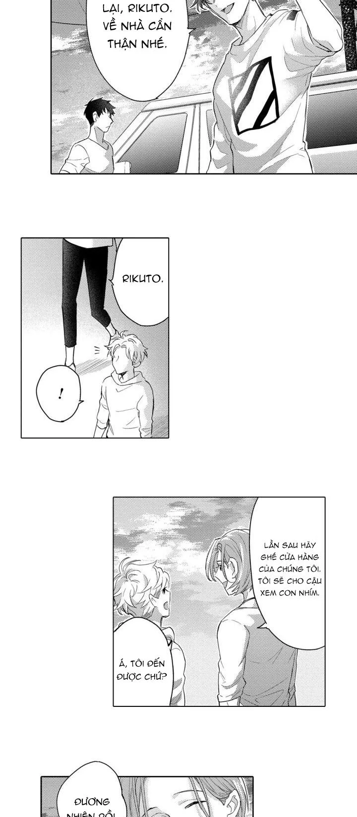 Hiyoko-chan to Harinezumi-kun Chapter 6 Trang 19