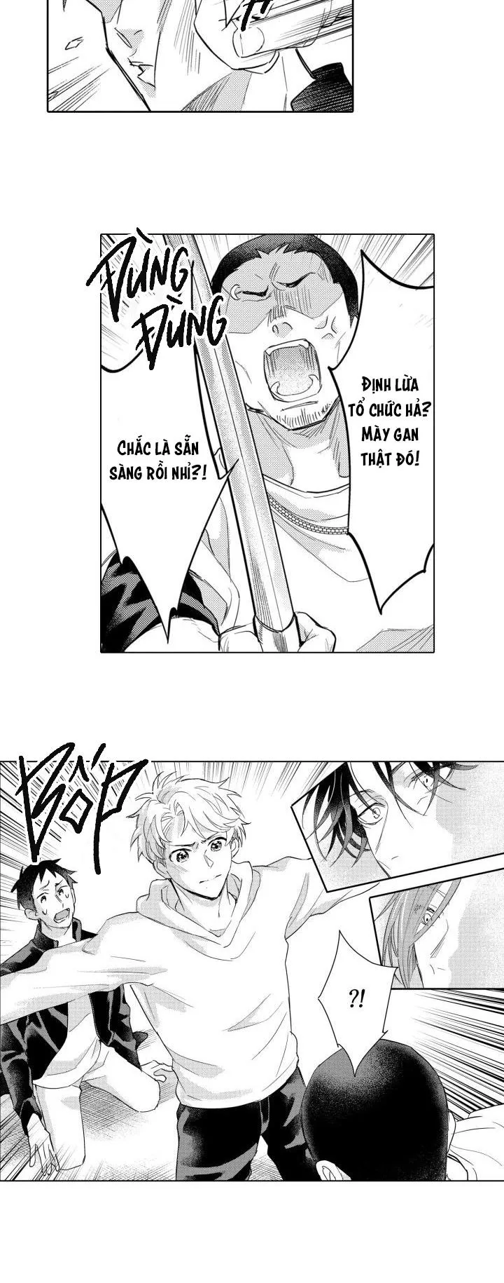 Hiyoko-chan to Harinezumi-kun Chapter 8 Trang 19