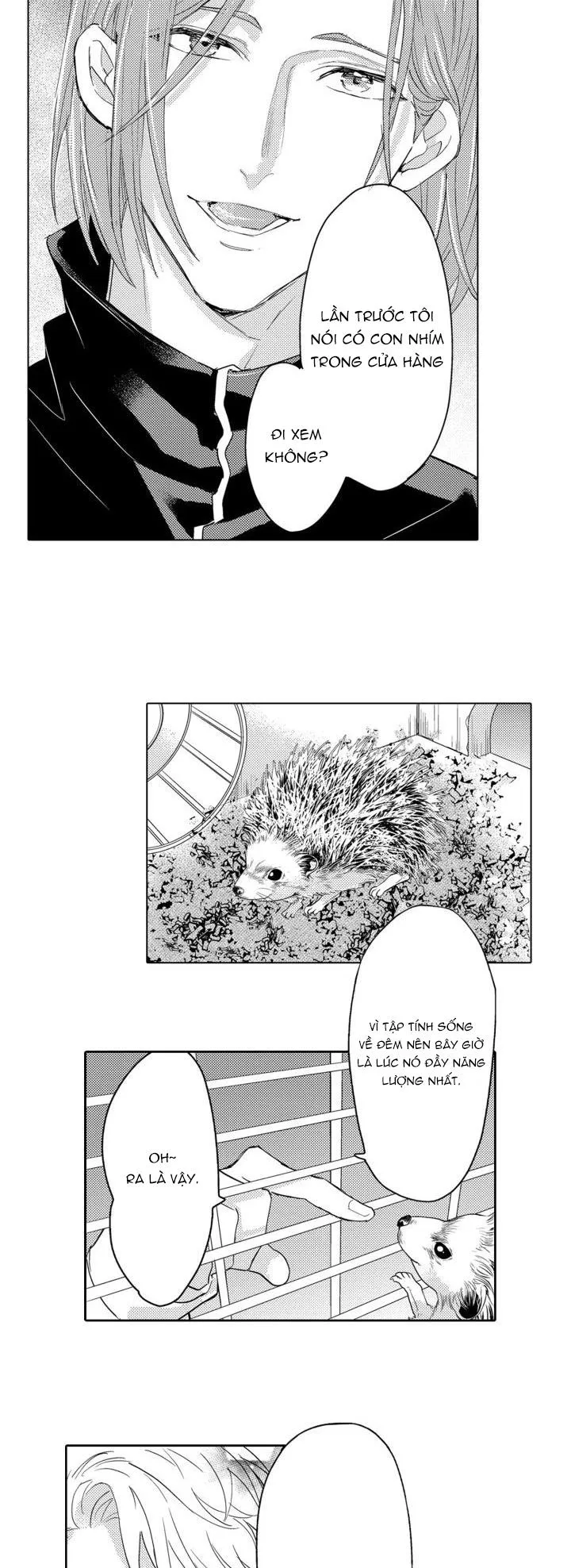 Hiyoko-chan to Harinezumi-kun Chapter 8 Trang 36