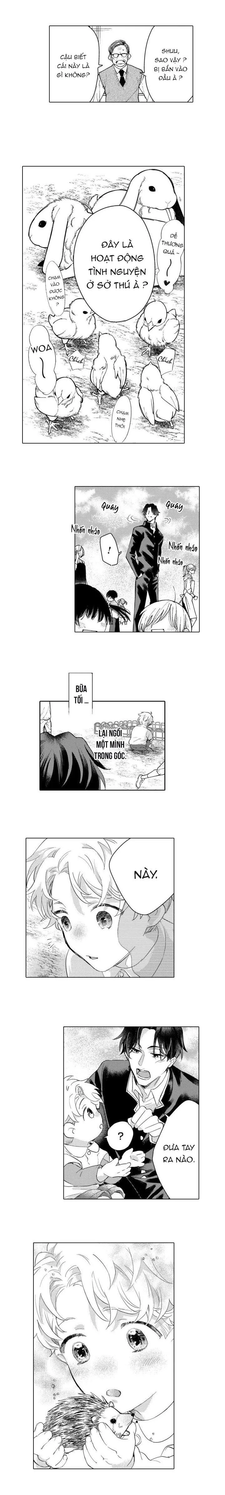 Hiyoko-chan to Harinezumi-kun Chapter 9 Trang 11