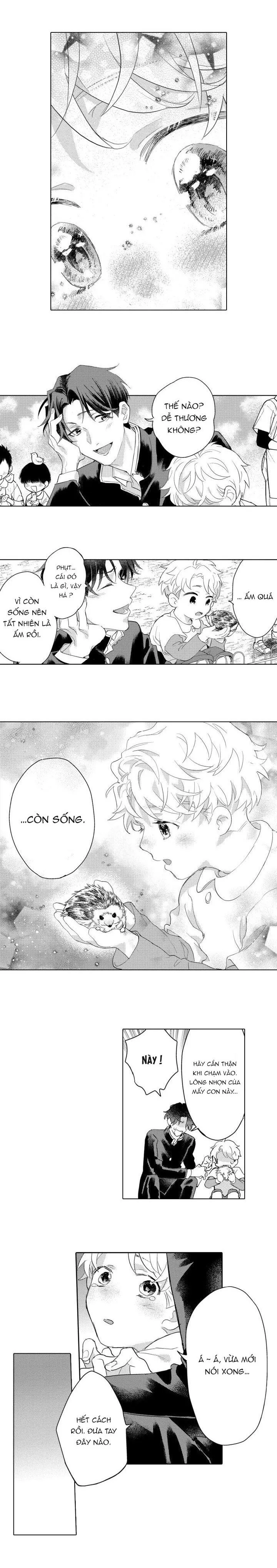 Hiyoko-chan to Harinezumi-kun Chapter 9 Trang 12