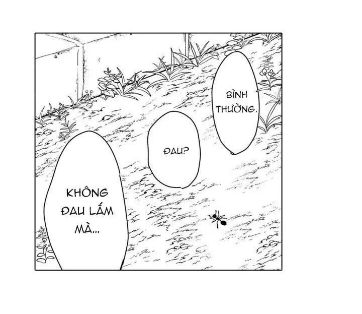 Hiyoko-chan to Harinezumi-kun Chapter 10 Trang 9