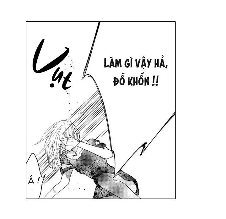 Hiyoko-chan to Harinezumi-kun Chapter 10 Trang 22