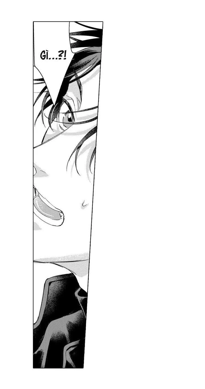 Hiyoko-chan to Harinezumi-kun Chapter 11 Trang 4