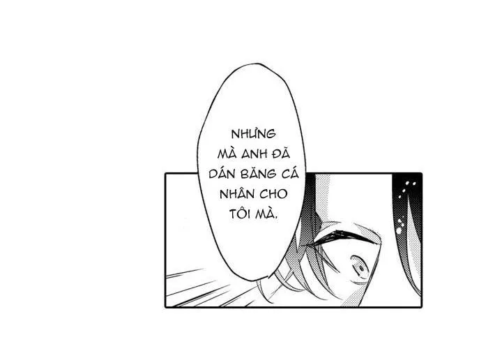 Hiyoko-chan to Harinezumi-kun Chapter 11 Trang 10