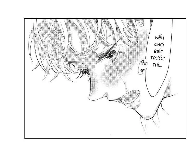 Hiyoko-chan to Harinezumi-kun Chapter 11 Trang 13