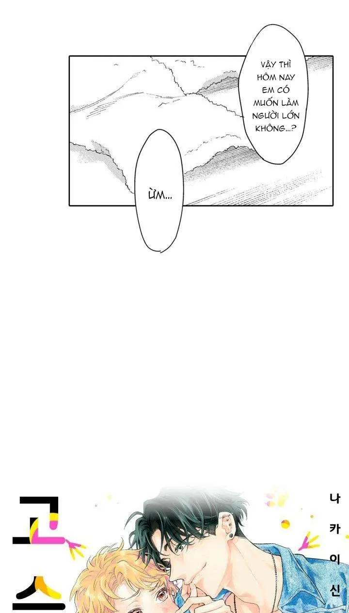 Hiyoko-chan to Harinezumi-kun Chapter 11 Trang 50