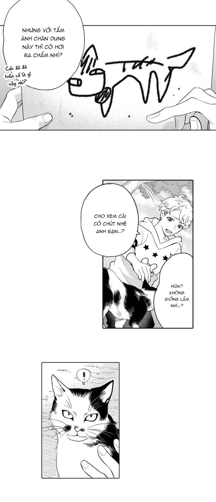 Hiyoko-chan to Harinezumi-kun Chapter 1 Trang 11