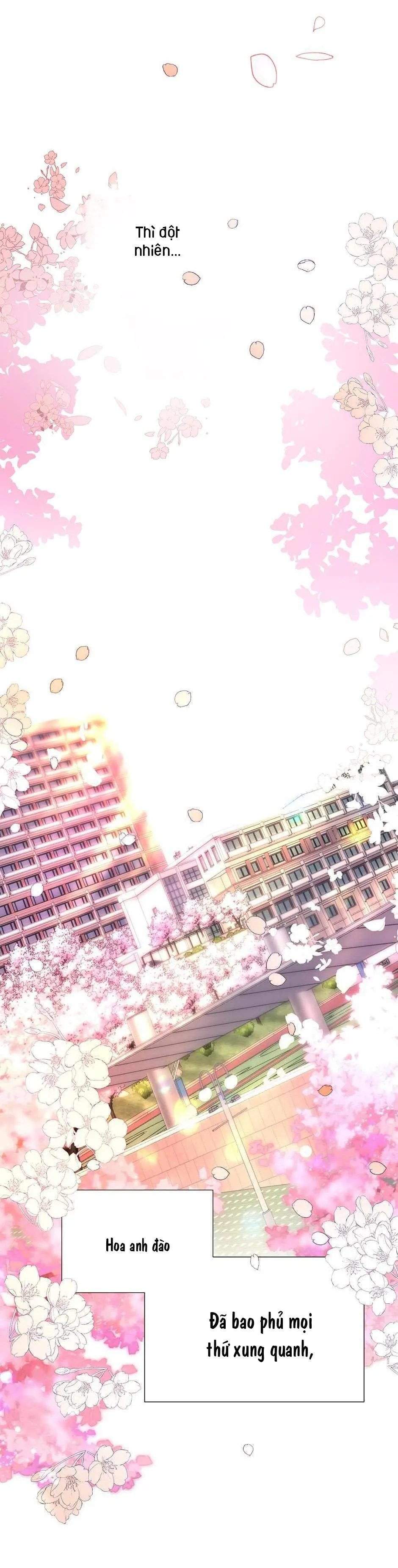 HMT Giữ Em Thật Chặt Chapter 191 Trang 32