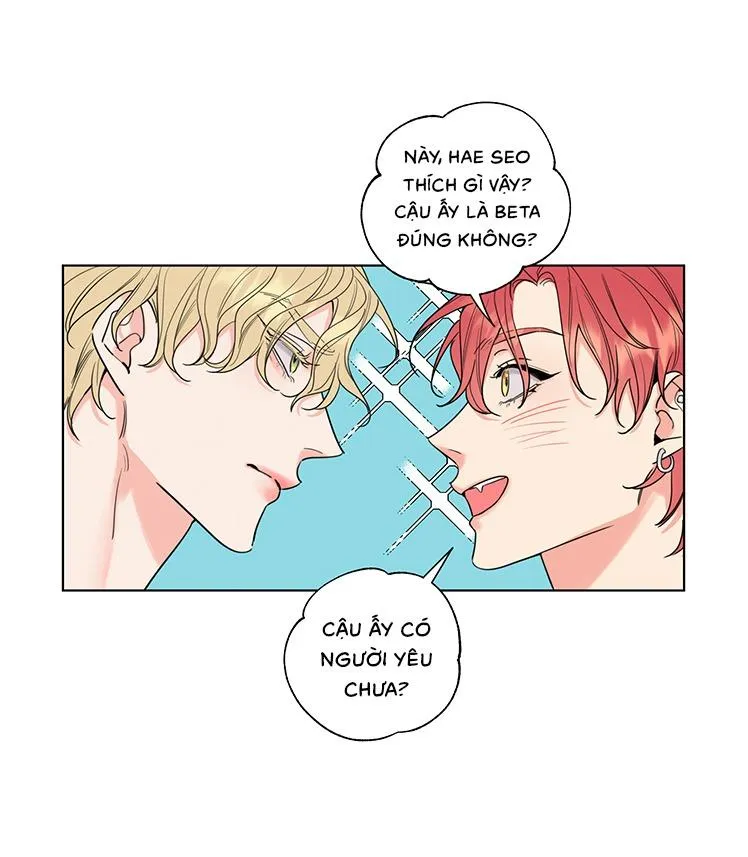 |DROP| Rắc rối đường mật Chapter 0 Trang 8