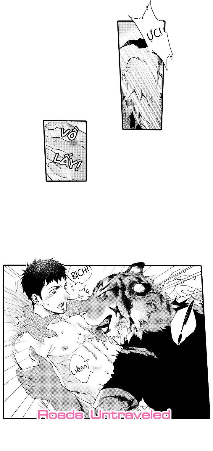 HỔ CÁI CỦA TAIGA Chapter 2 Trang 9