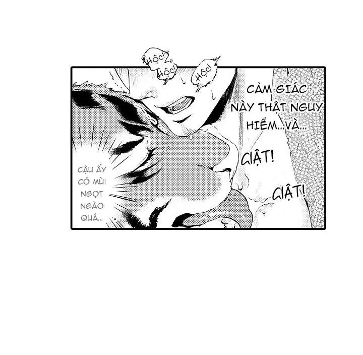 HỔ CÁI CỦA TAIGA Chapter 2 Trang 11