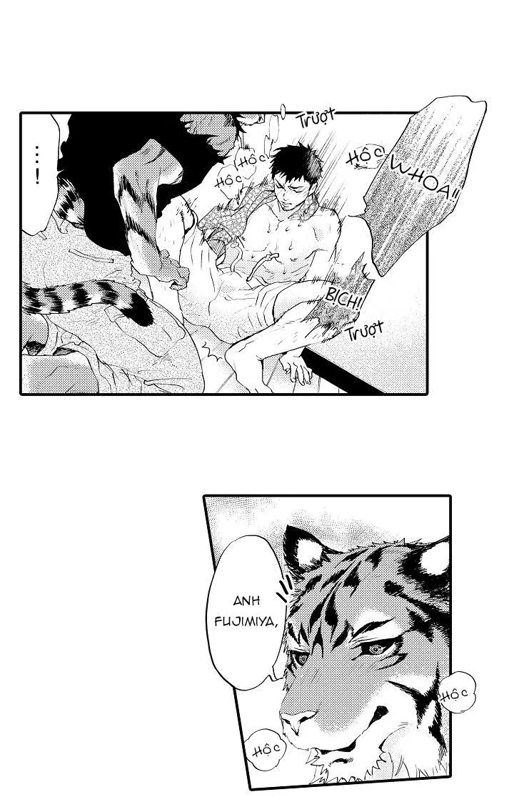 HỔ CÁI CỦA TAIGA Chapter 2 Trang 14