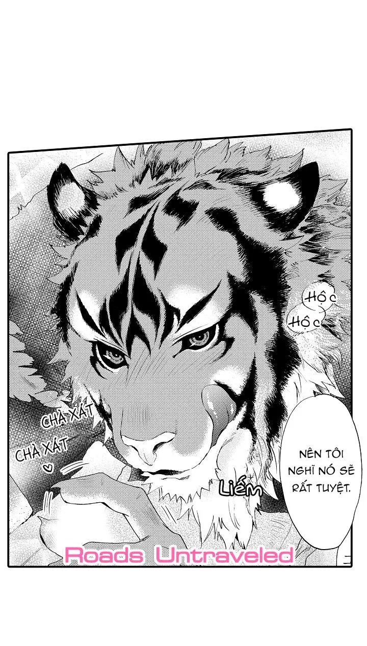 HỔ CÁI CỦA TAIGA Chapter 2 Trang 17