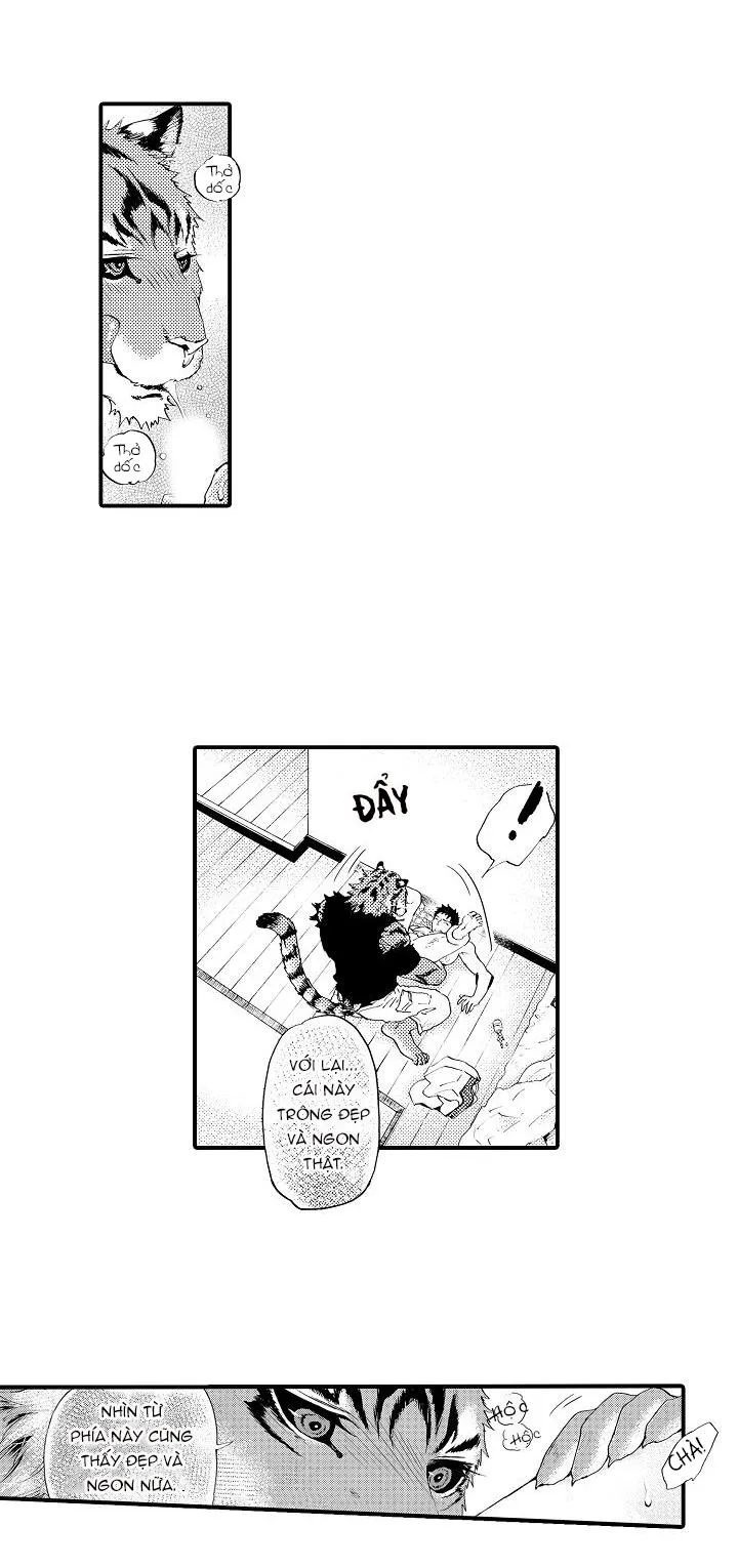 HỔ CÁI CỦA TAIGA Chapter 2 Trang 22