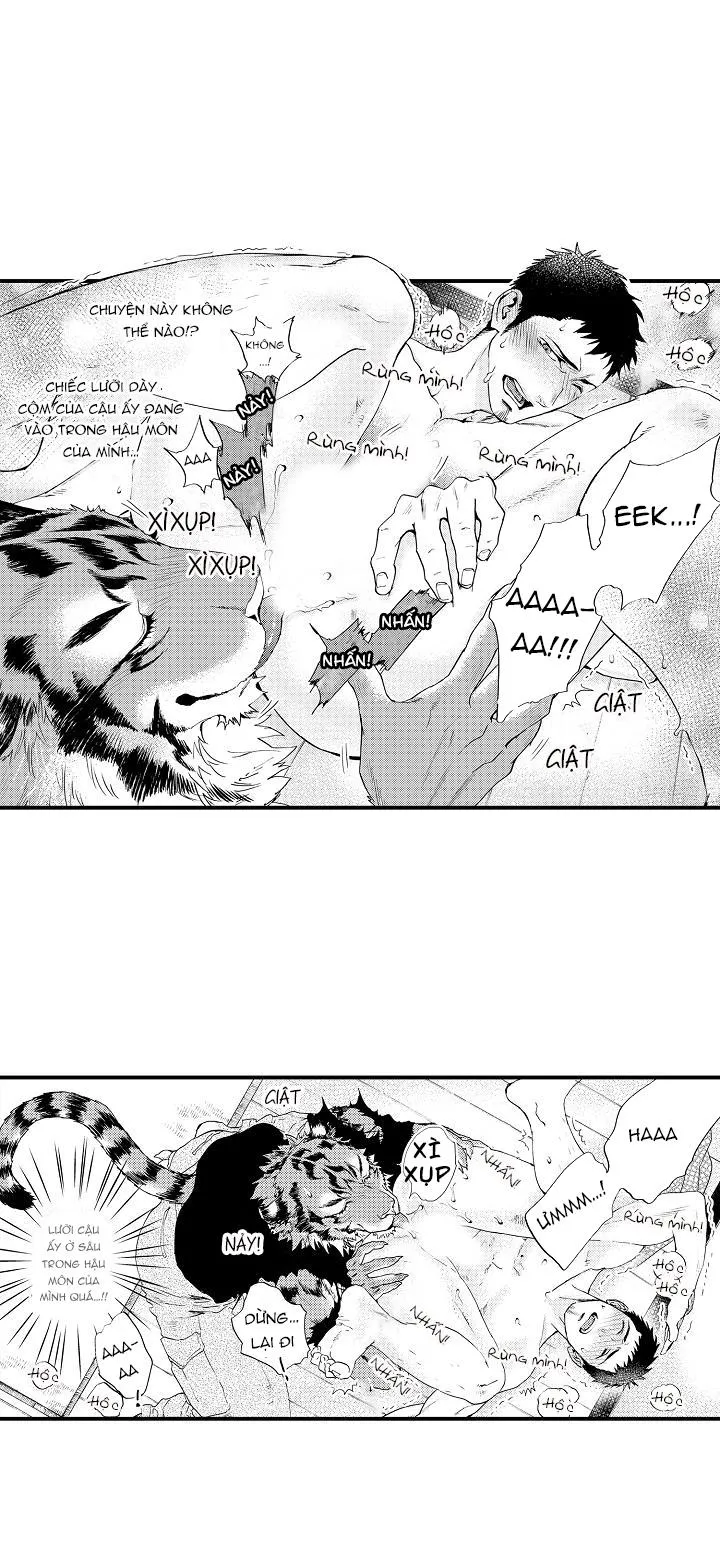 HỔ CÁI CỦA TAIGA Chapter 2 Trang 23