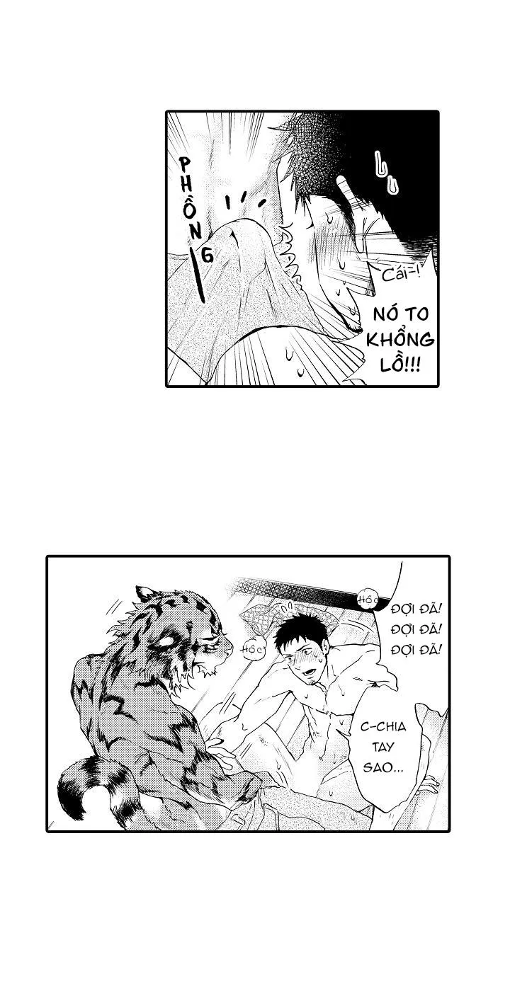 HỔ CÁI CỦA TAIGA Chapter 2 Trang 26