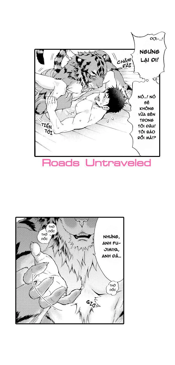 HỔ CÁI CỦA TAIGA Chapter 3 Trang 4