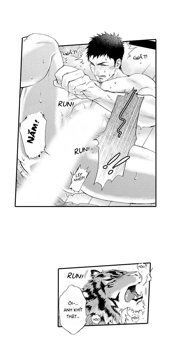 HỔ CÁI CỦA TAIGA Chapter 3 Trang 6