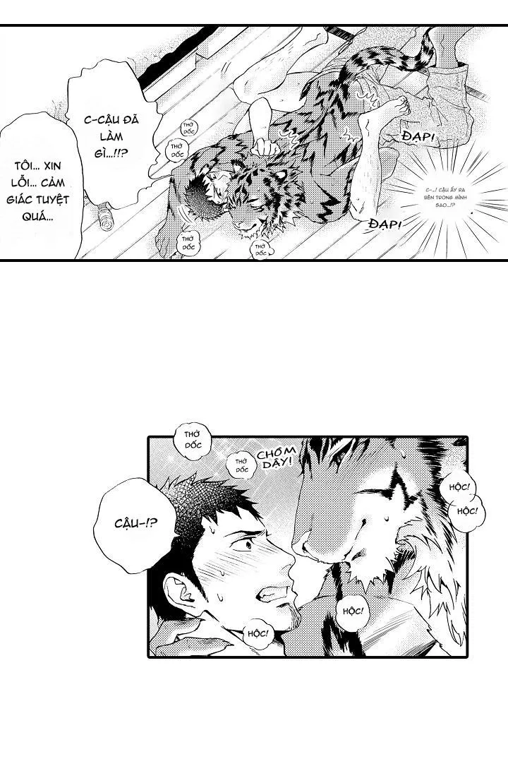 HỔ CÁI CỦA TAIGA Chapter 3 Trang 13