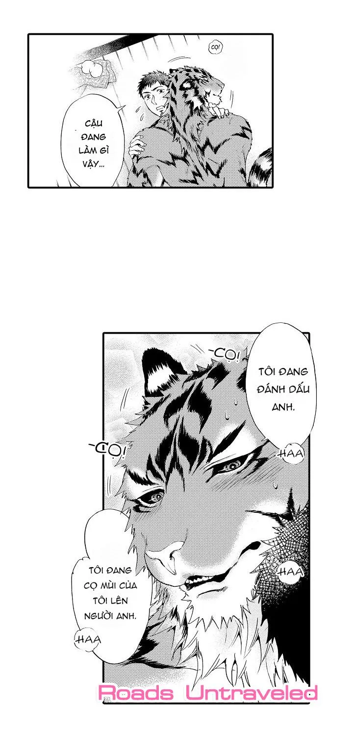 HỔ CÁI CỦA TAIGA Chapter 3 Trang 14