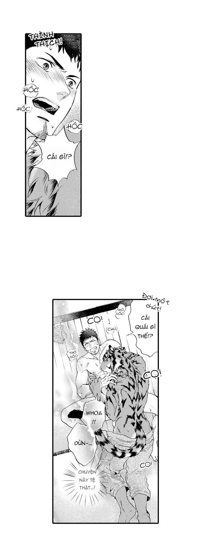 HỔ CÁI CỦA TAIGA Chapter 3 Trang 15