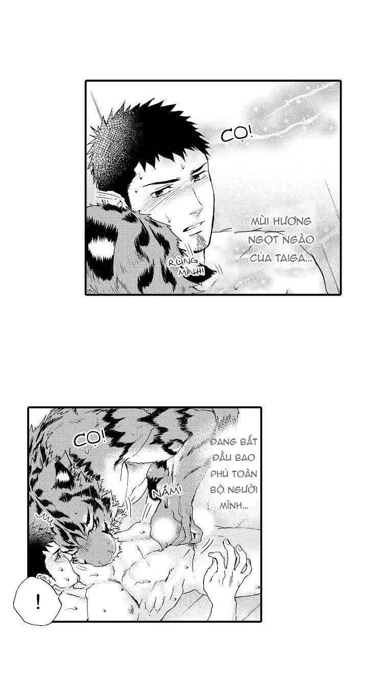 HỔ CÁI CỦA TAIGA Chapter 3 Trang 16