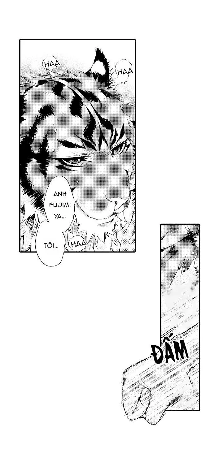 HỔ CÁI CỦA TAIGA Chapter 3 Trang 21