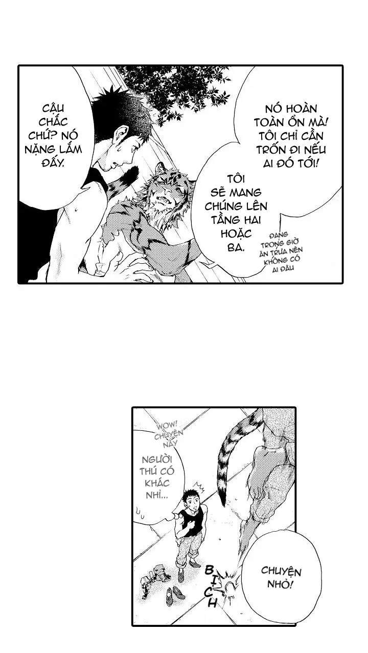 HỔ CÁI CỦA TAIGA Chapter 4 Trang 5