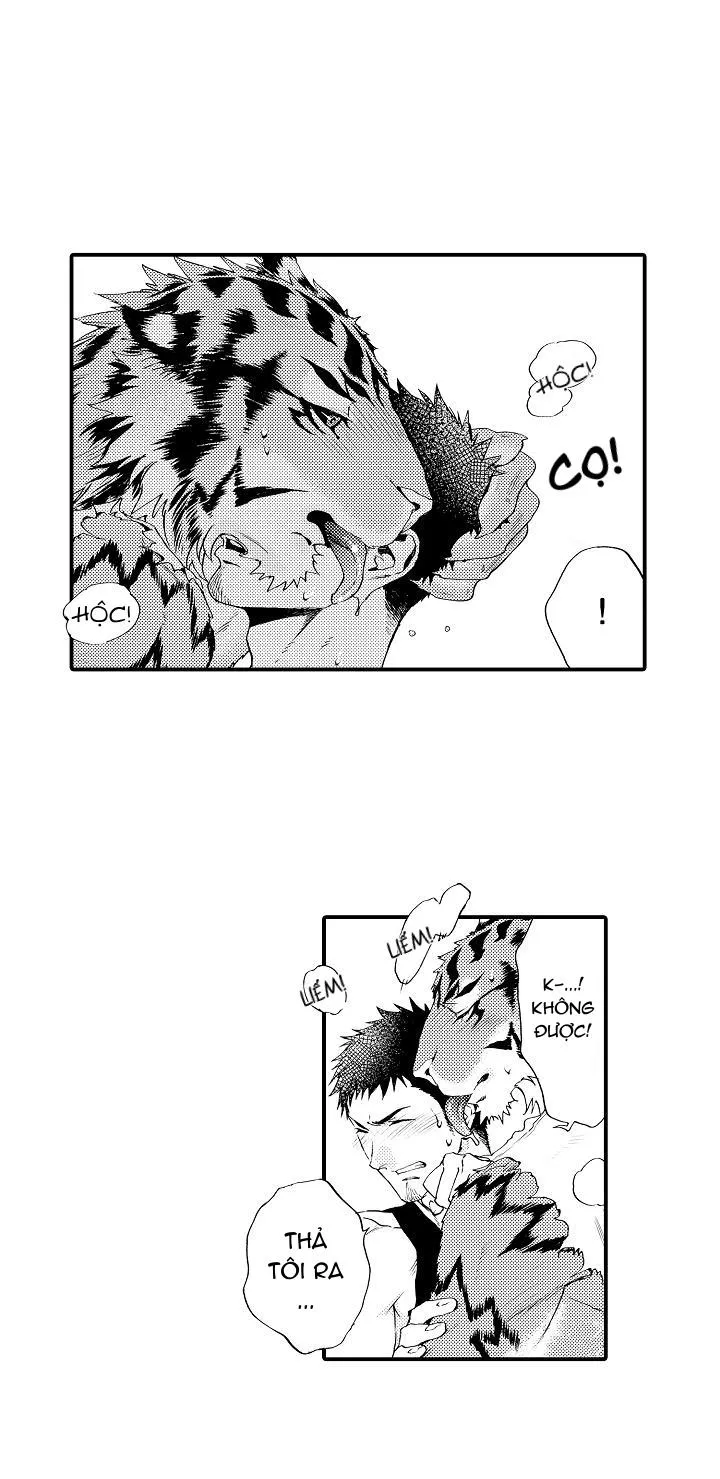 HỔ CÁI CỦA TAIGA Chapter 4 Trang 16