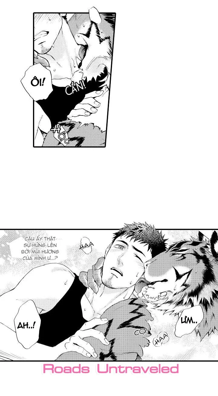 HỔ CÁI CỦA TAIGA Chapter 4 Trang 17