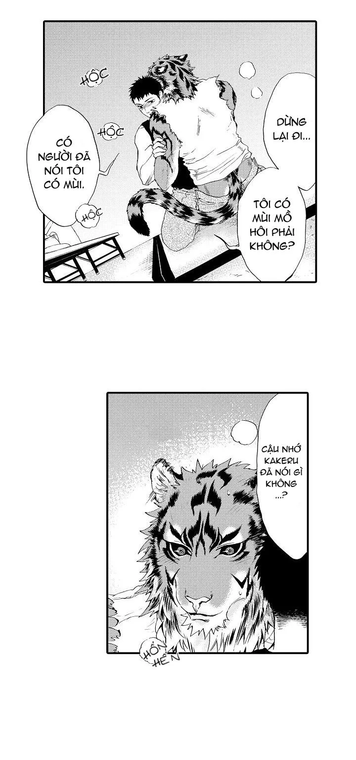 HỔ CÁI CỦA TAIGA Chapter 4 Trang 18